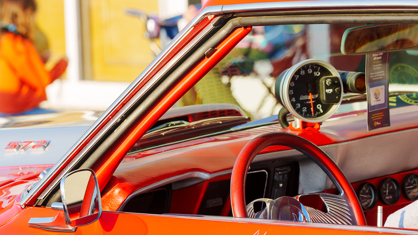 Endless Summer Cruisin